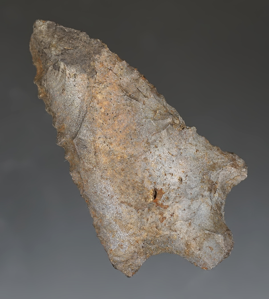 3 5/16" beveled Pickwick knife that is heavily patinated found in Florida.