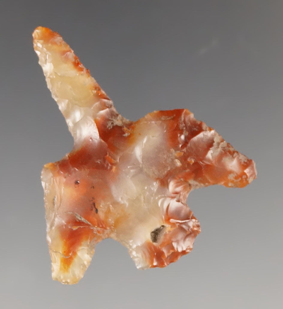 Outstanding 1 3/8" Hell's Canyon Drill made from beautiful Agate. Found in Klickitat Co., WA.