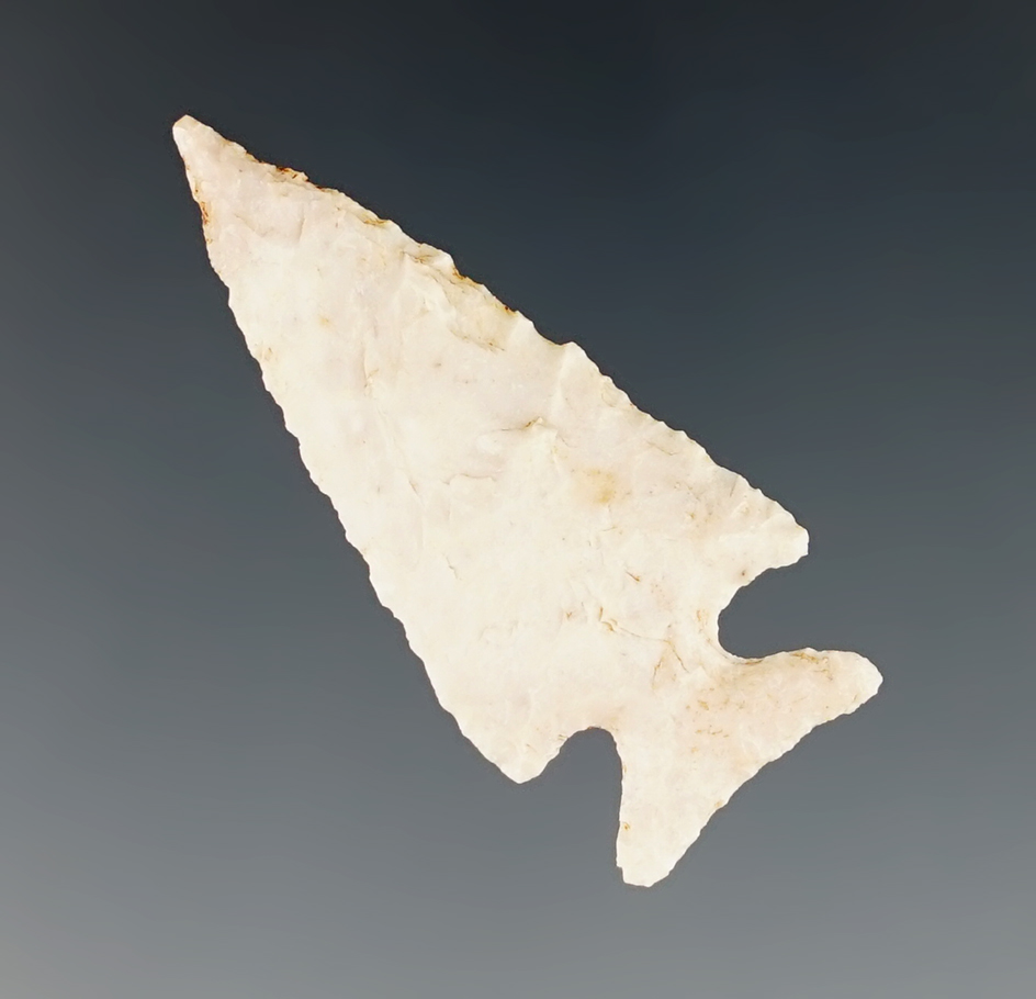 1 5/16" Scallorn made from Burlington Chert found in Eau Claire Co., Wisconsin. 2 COAs.