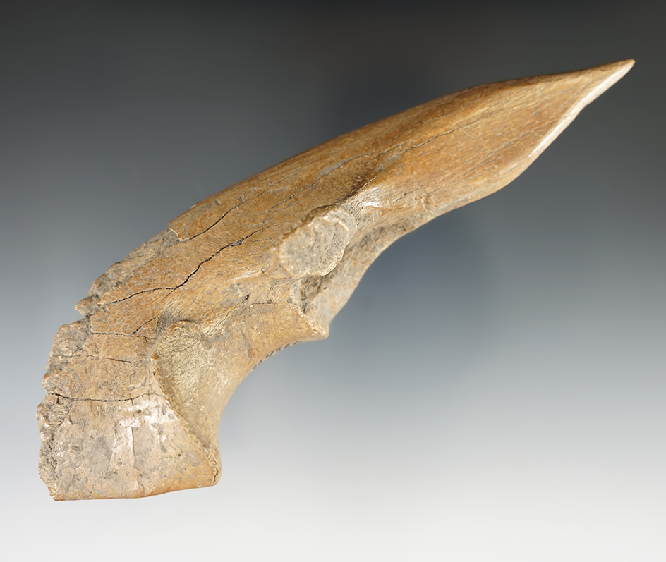 6 1/8" Bone Trigger Awl. Nice example, found in Kentucky. Ex. Hovan.