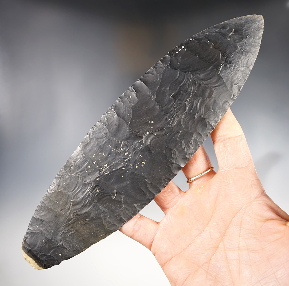 Ex. Museum! Exceptional in all respects! 8 1/4" Pre-Columbian Mayan Blade - Belize. Ex. Museum.