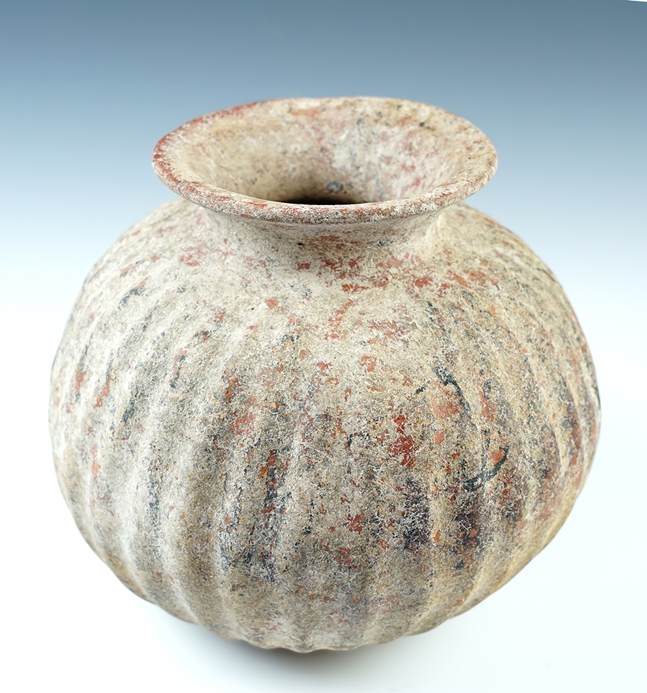 7" Precolumbian Colima Gadroon Bottle in solid condition. Recovered in Western Mexico. 