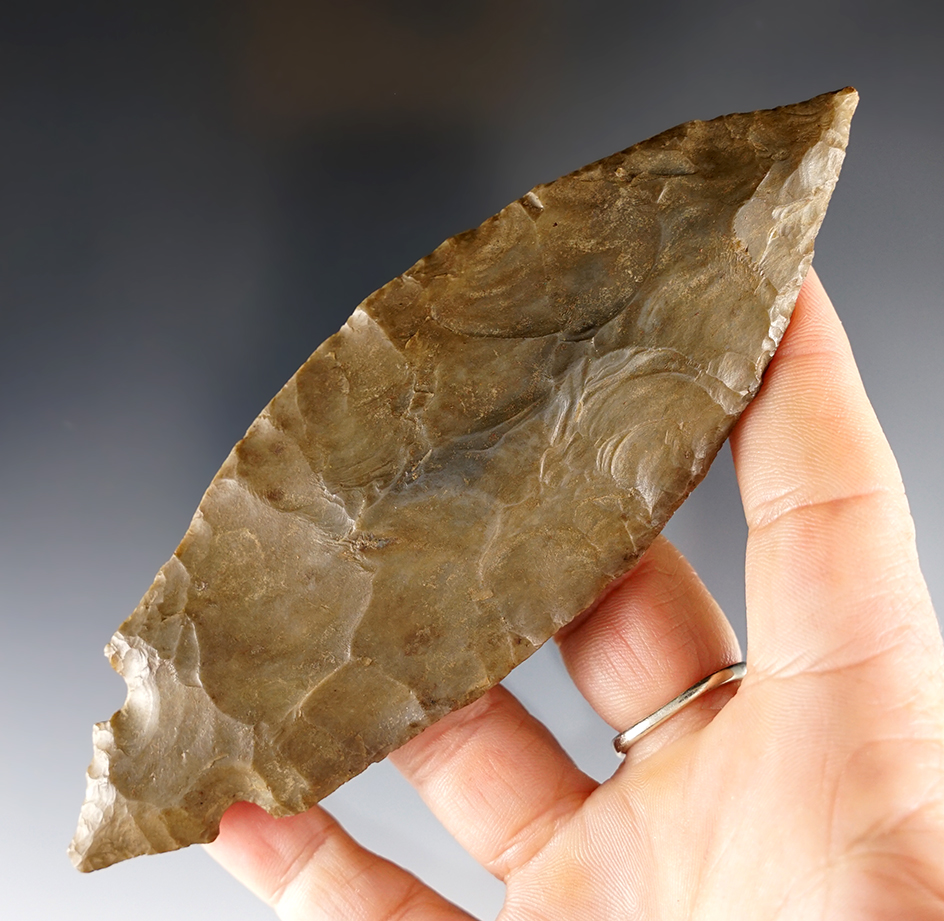 Fine and well patinated 5 3/8" Turkeytail found in Crawford Co., Indiana. Ex. Harry Cline.