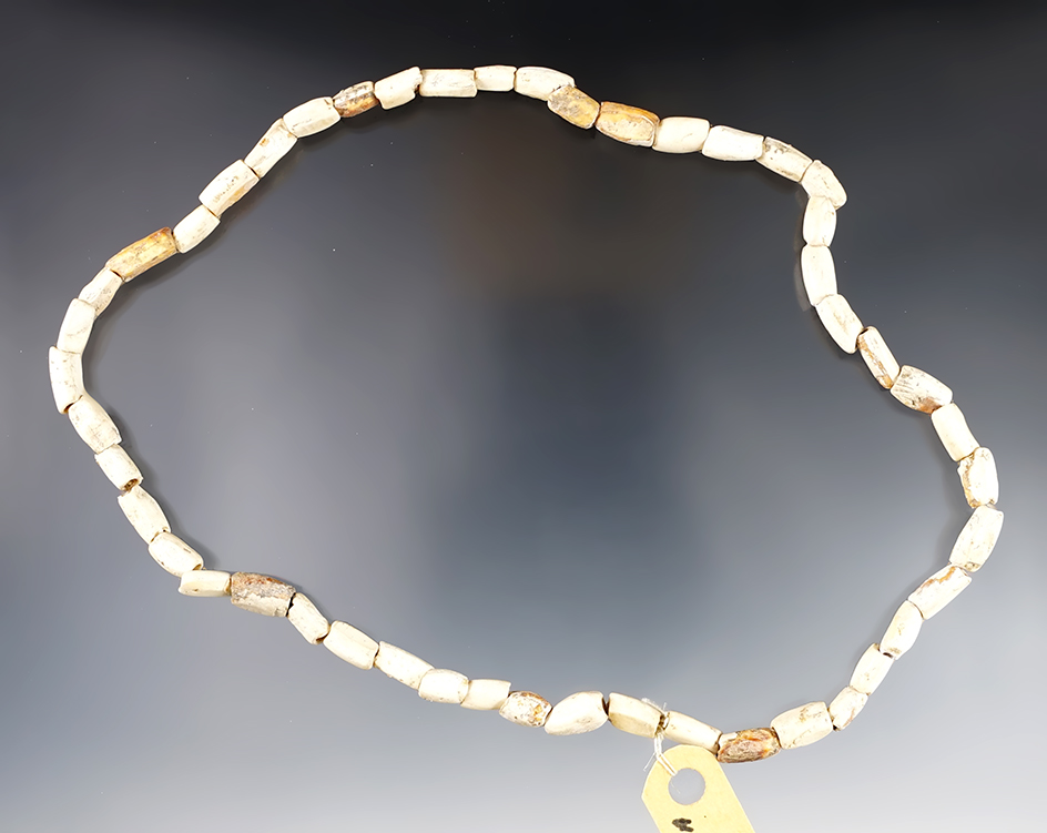 15" long strand of drilled and shaped shell beads found in Smyth County Virginia near Saltville. 