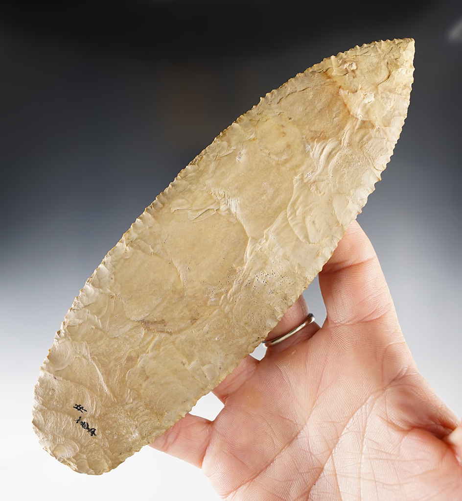 Ex. Museum! Exceptional! 7" Caddo Blade - well flaked with incredible edge serrations. Yell Co., AR.