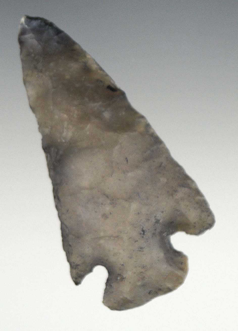 2 1/8" Cornernotch Knife - nicely patinated semi-translucent material - Florida near  Crystal River.