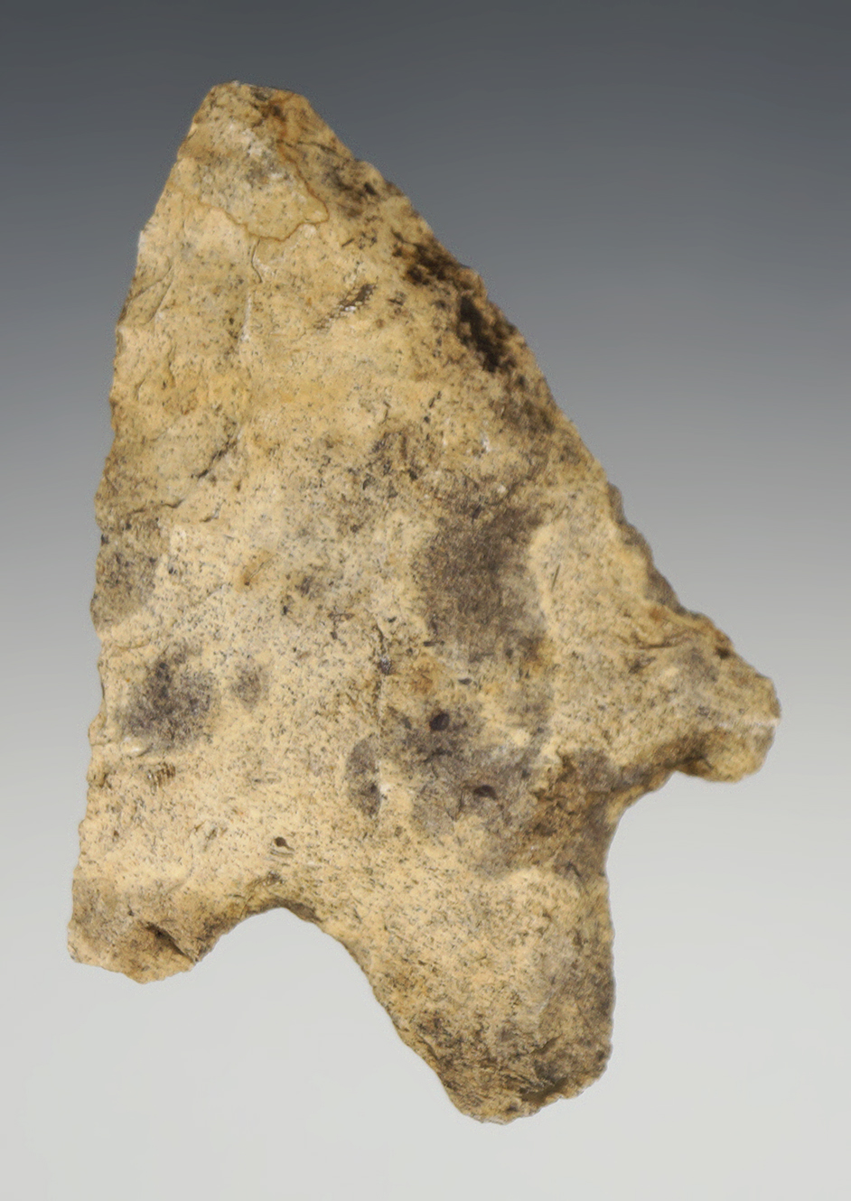 3 1/8" Heavily patinated Newnan found in Polk Co., Florida.