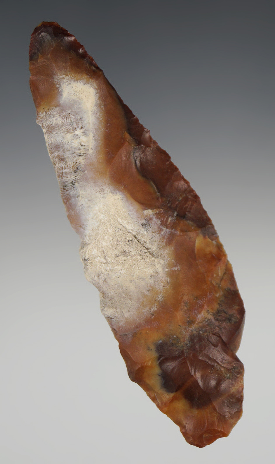 Very colorful 4 7/16" heat treated  knife found in Pasco Co., Florida.