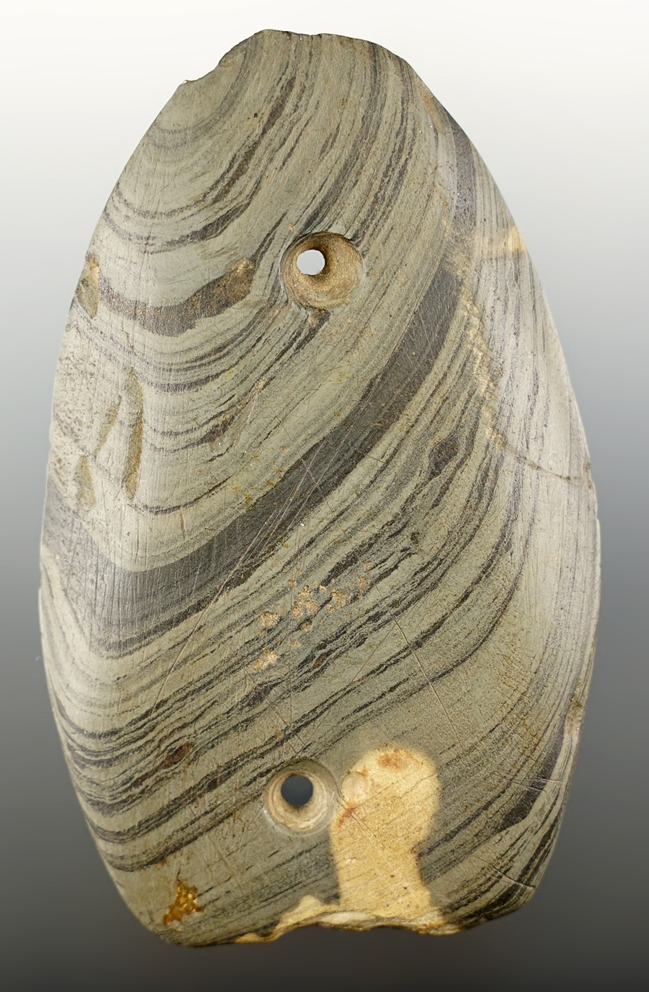 Sale Highlight! 4 1/8" Rare Glacial Kame Ovoid Two Hole Gorget - Lenawee Co., Michigan.