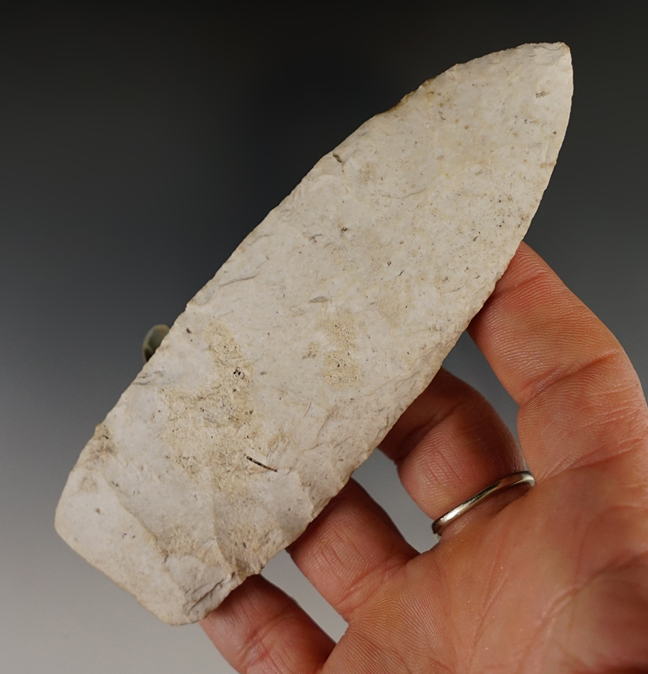 4 11/16" Paleo Lanceolate. One of five found in a cache - Alachua Co., Florida.