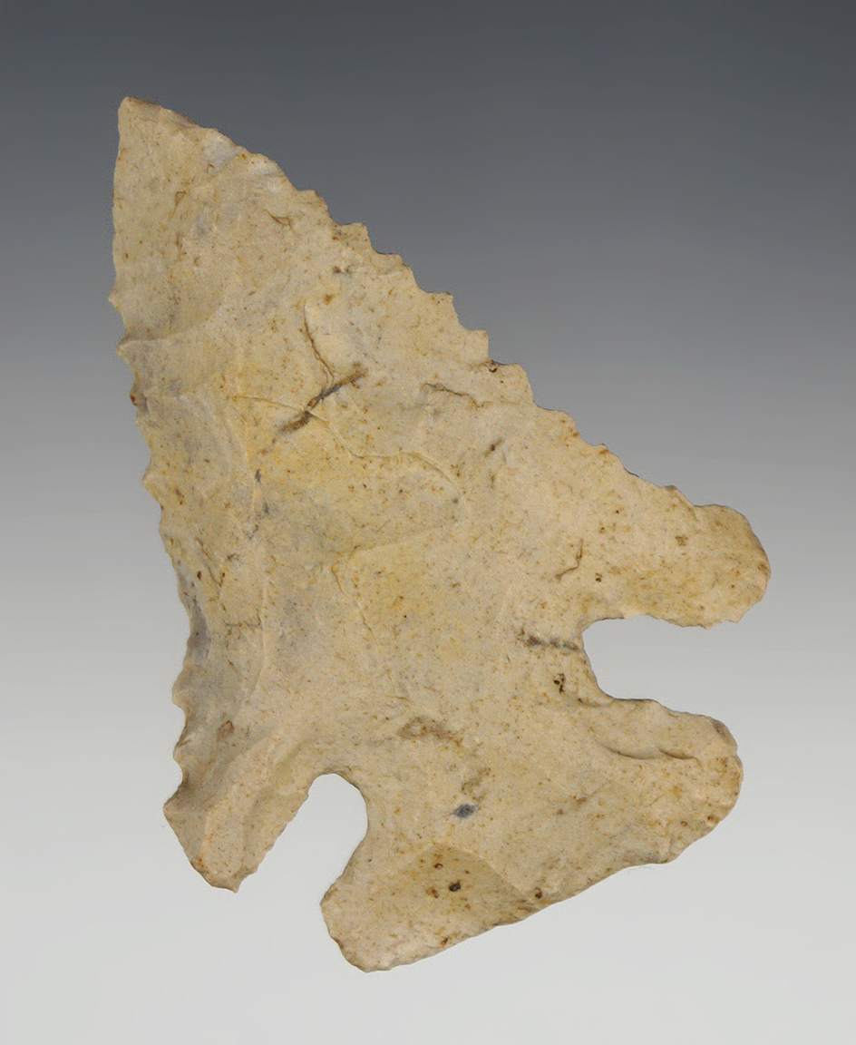 2 5/8" Burlington Chert Thebes found in Callaway Co., Missouri. Comes with a Perino COA.