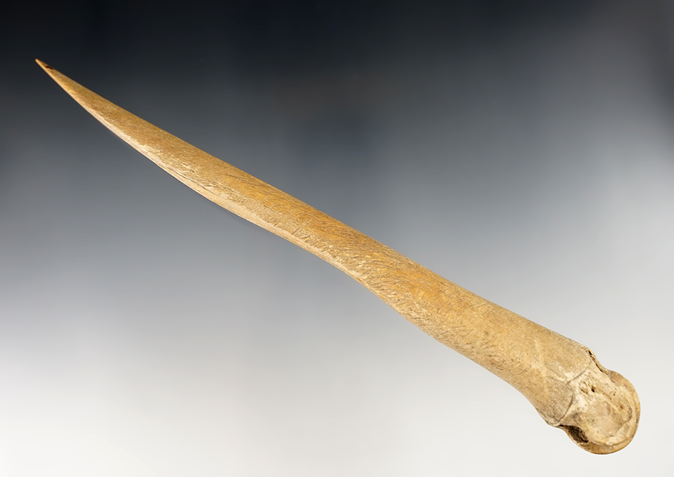 Large 8 1/8" Bone knuckle Awl in excellent condition. Found in Kentucky.