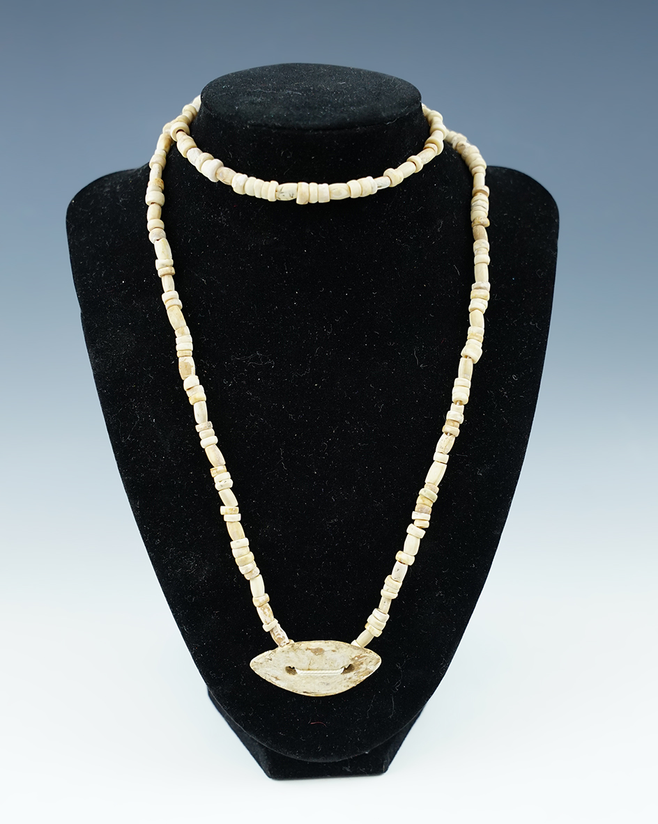 32" Long strand drilled shell beads with a shell Gorget found at a site in Union Co., Ohio.