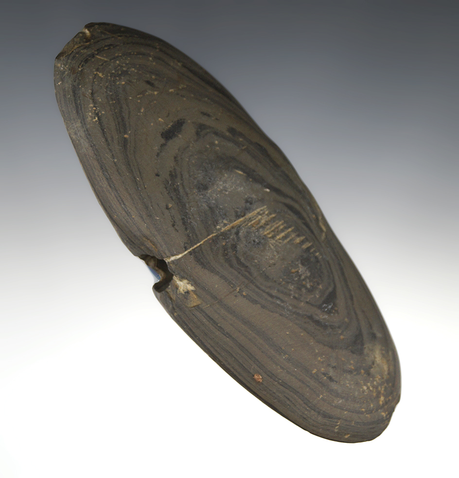 5 3/8" Archaic Wing Bannerstone - Madison Co., Indiana. Ex. Bracoloni, Hanna,  Magnani.