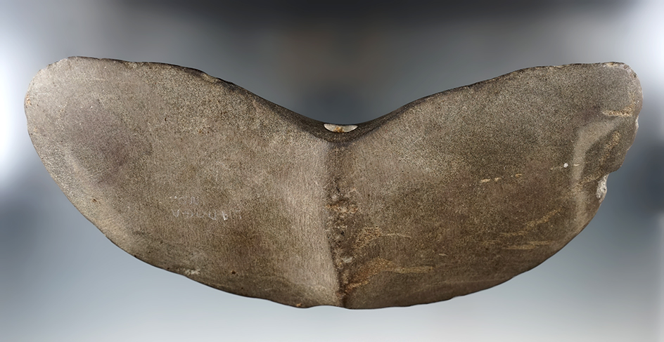 8 1/8" Slate Wing Bannerstone Preform with drilling started at both ends. Montgomery Co., IN.