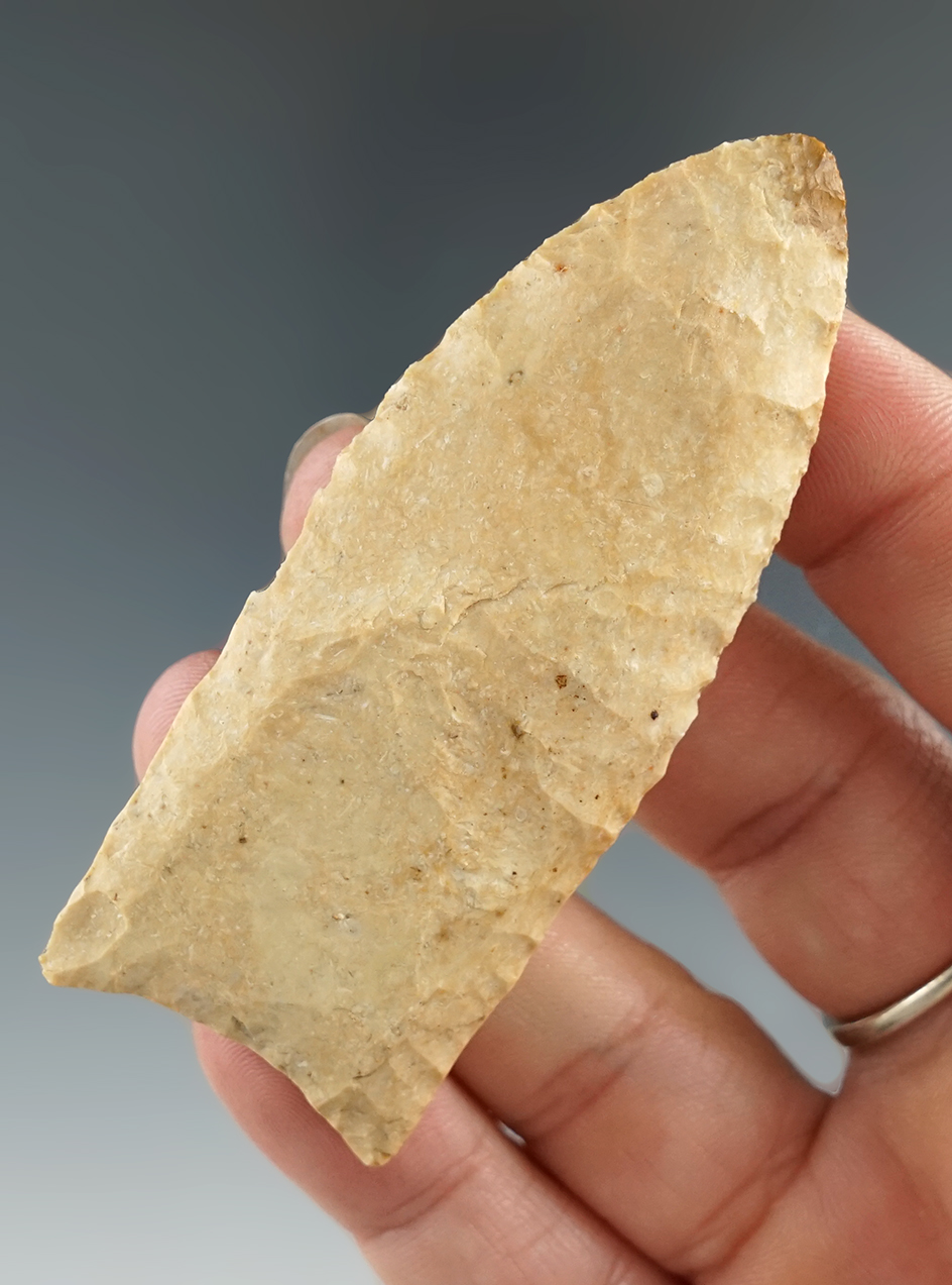 2 15/16" Clovis found by Lisa Forrest in Craighead, Arkansas. Comes with a Bennett COA.