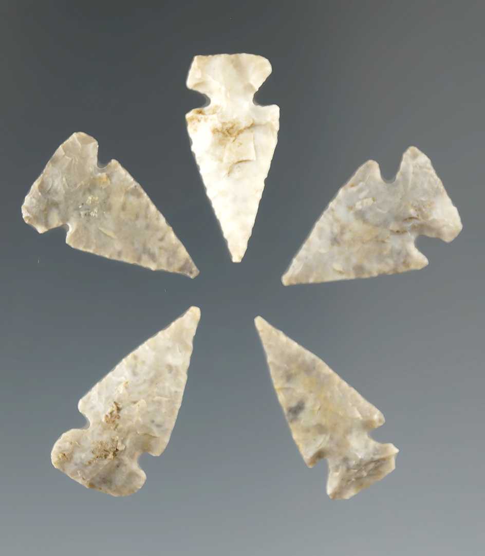 Group of 5 Spiro Mound Birdpoints from the Cooperider Cache, largest is 13/16".