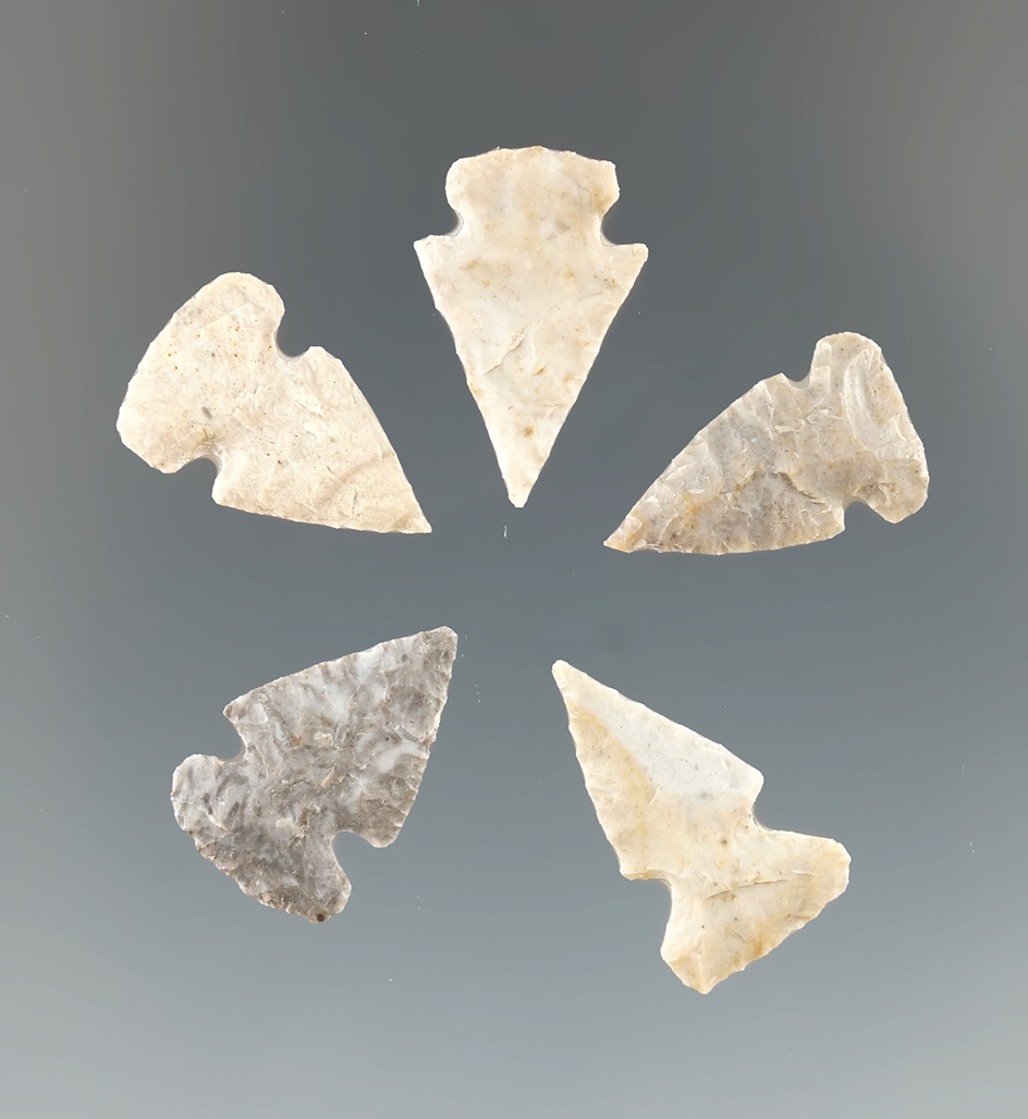 Group of 5 Spiro Mound Birdpoints from the Cooperider Cache, largest is 3/4".