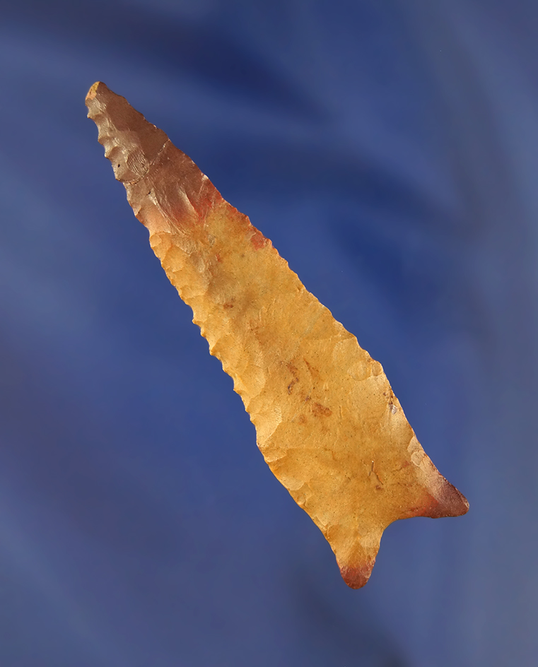 3" Dalton found in Missouri with restoration to 1/2" of tip - comes with a Bennett COA.