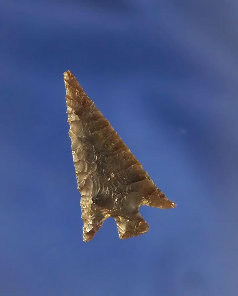 1 3/16" Columbia Plateau - thin with exceptional flaking! Found near the mouth of the John Day