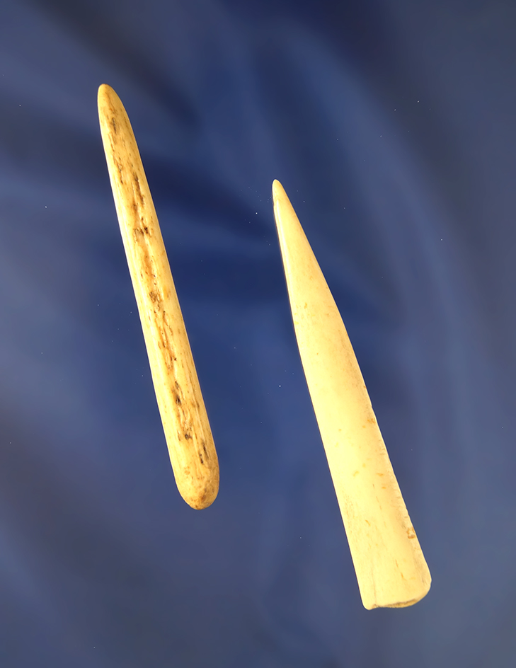 Pair of nicely polished Bone Projectile Points, largest is 3" - South Dakota in Walworth County.