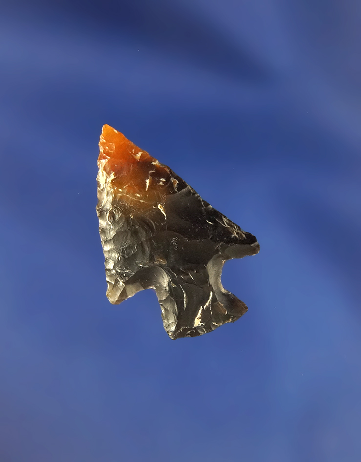 1 1/16" Gem Point found near the Columbia River.