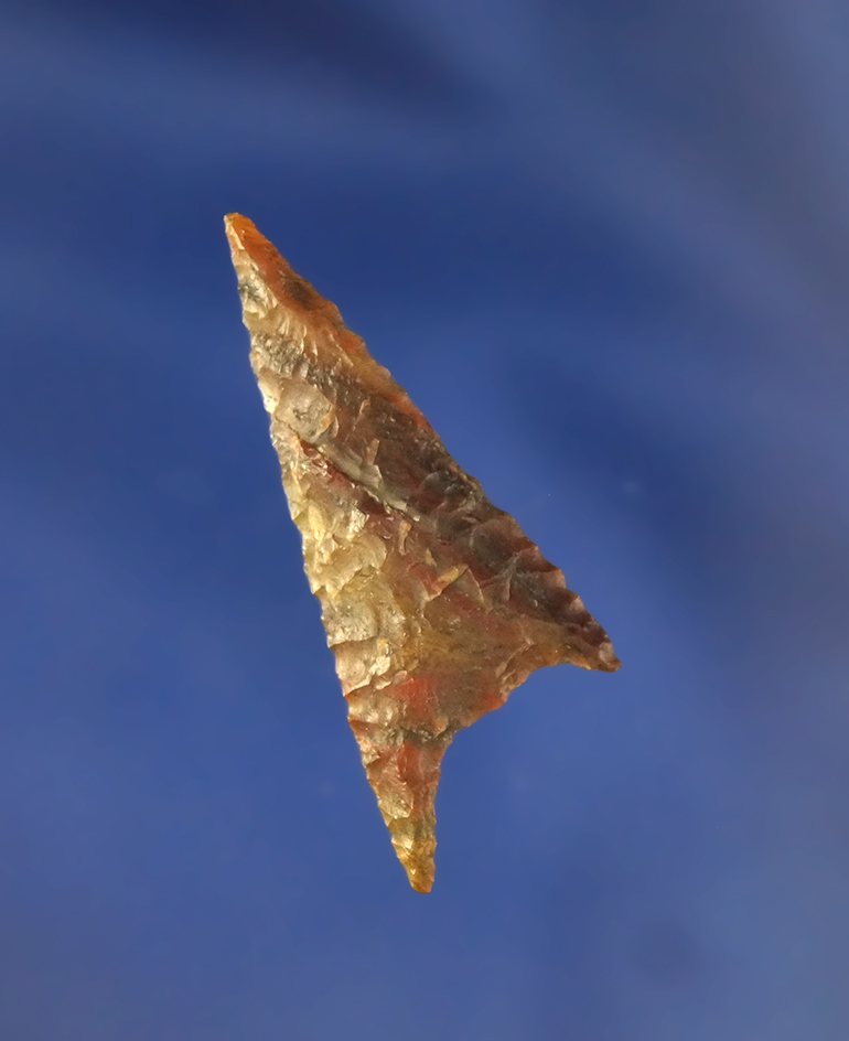 1 1/2" Gunther triangular found near the Daisy site in Curry County Oregon