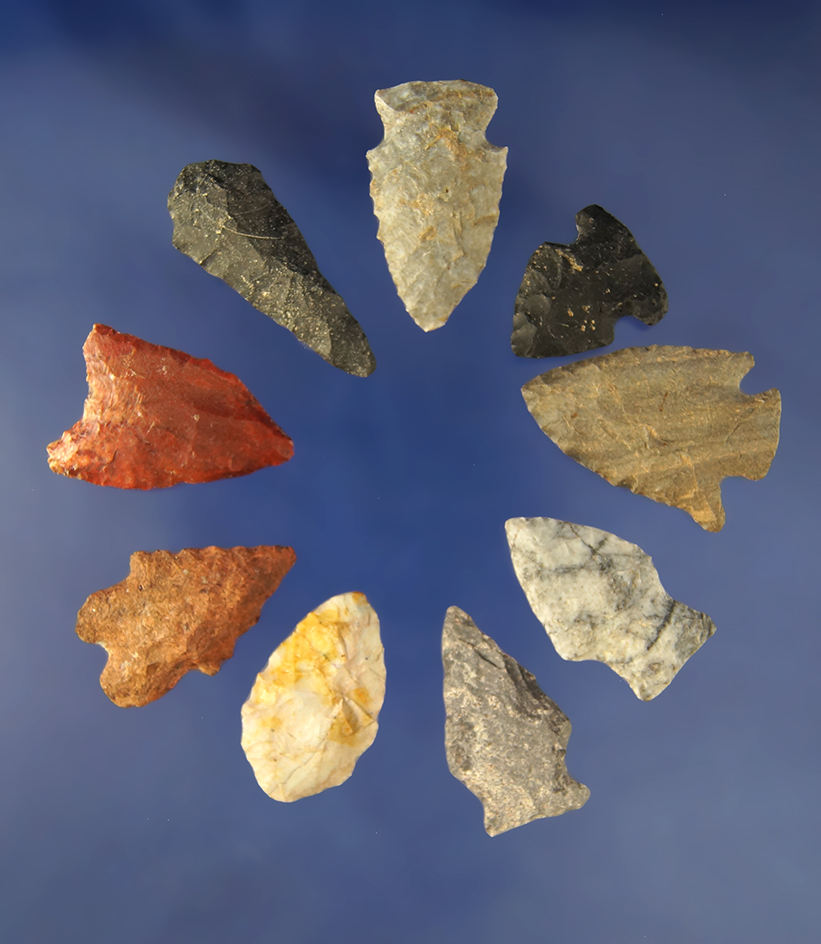Group of 9 assorted   Arrowheads found in North Carolina and Virginia. Largest is 1 9/16".