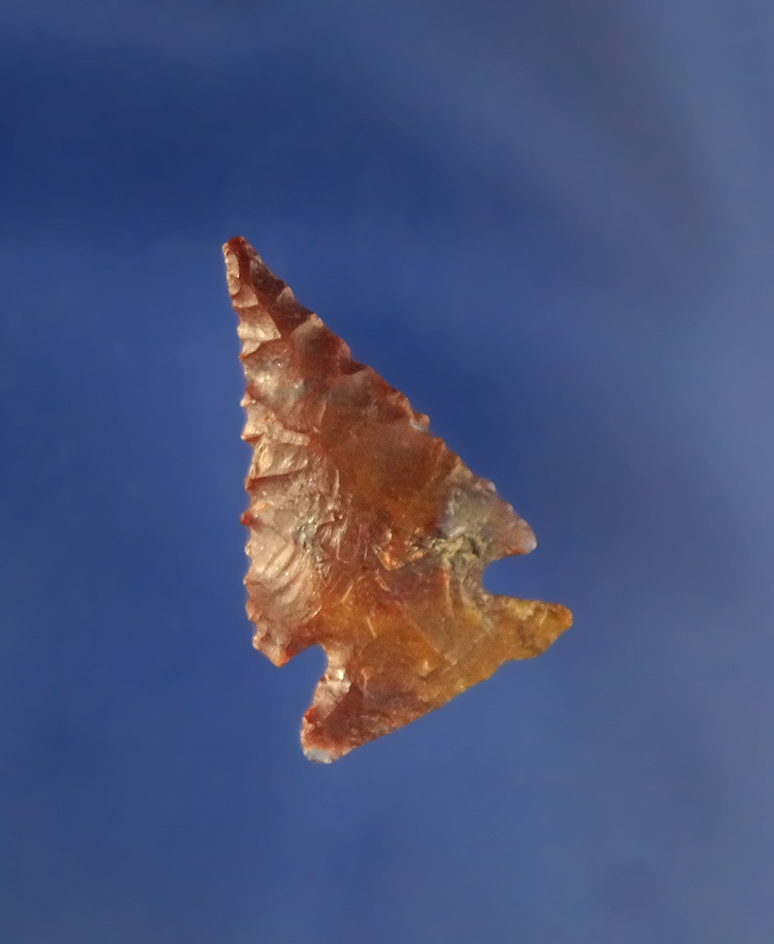 15/16" Unita  Arrowhead made from attractive agate - Idaho by Jeb Taylor. Perino COA.