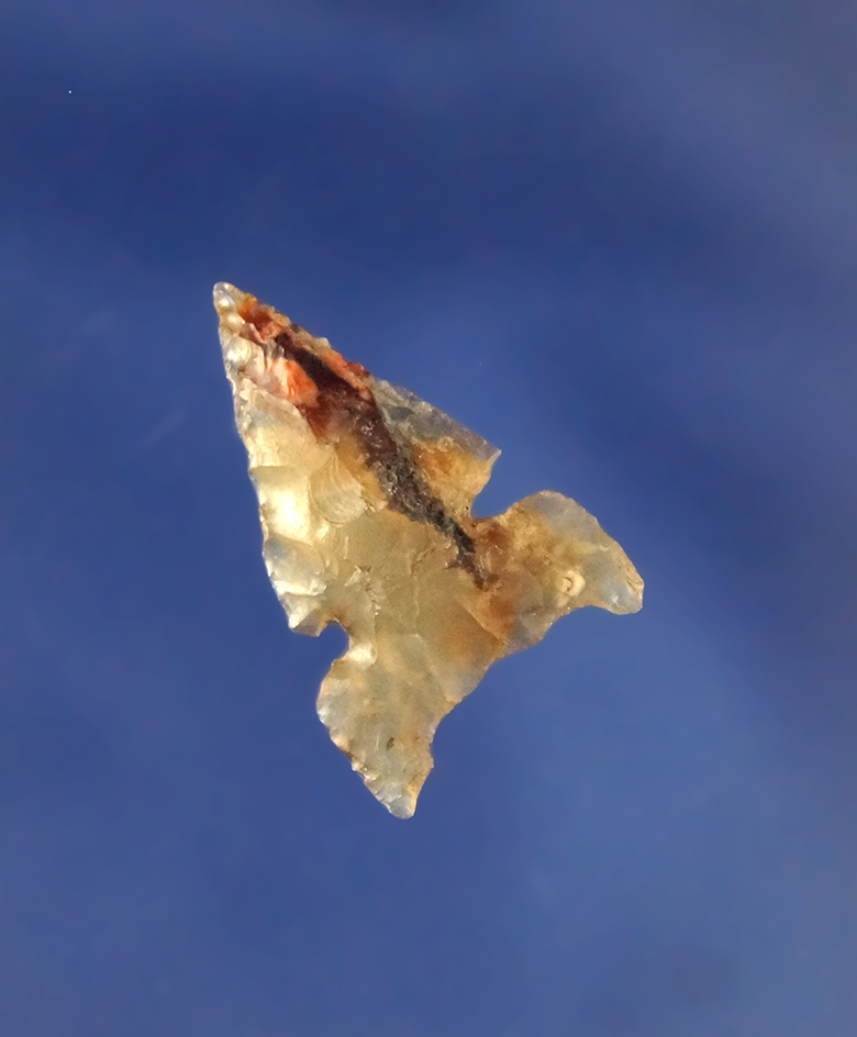 7/8" beautiful Sidenotch Gempoint found near the Columbia River, Washington - Agate.