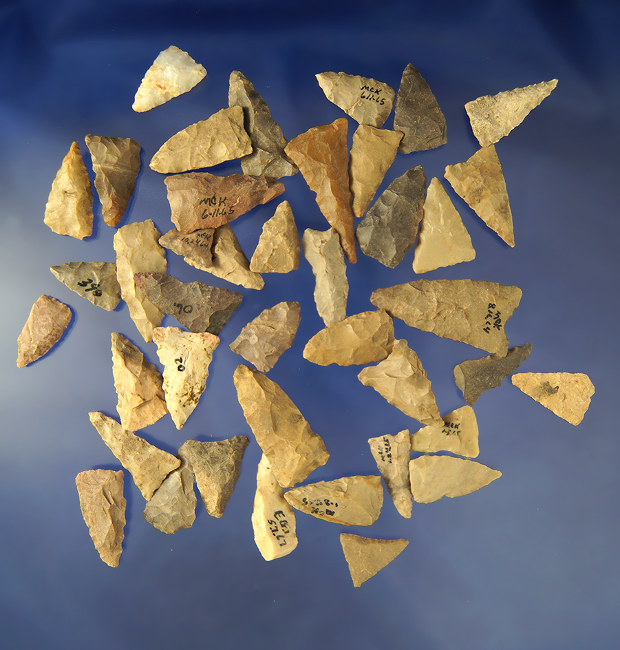 Group of 40 Triangle   Arrowheads found in Greenup Co., Kentucky- Judge Claxton Collection.
