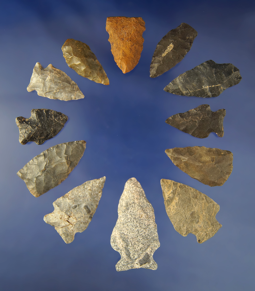 Group of 12 assorted   Arrowheads found in North Carolina and Virginia. Largest is 2".