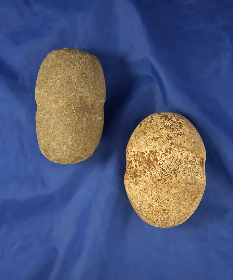 Pair of Grooved Hammerstones, largest is 3 1/4" found near Hermiston, Oregon.