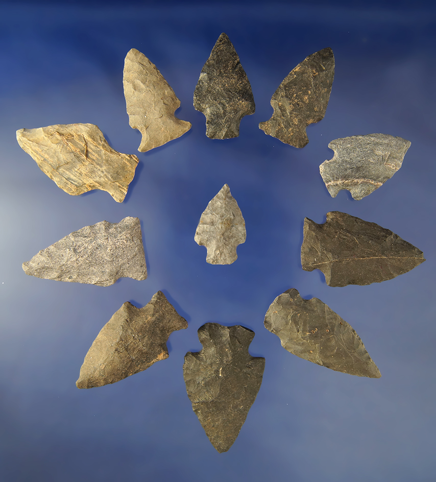 Group of 11 assorted   Arrowheads found in North Carolina and Virginia. Largest is 1 7/8".