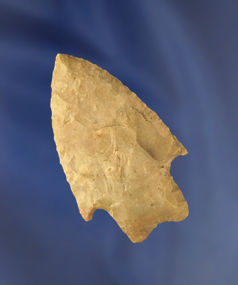 2 1/2" thin and nicely flaked Pedernales point found in Texas.