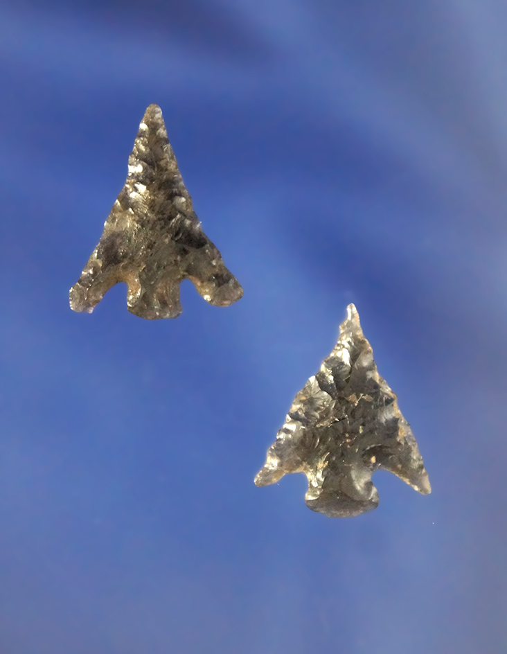 Pair of Obsidian Cornernotch   Arrowheads found in Oregon, largest is 3/4".