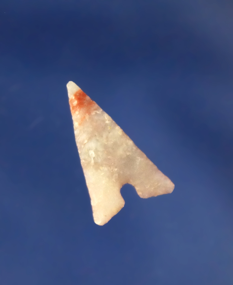 Beautiful color and flaking on this 3/4" Garza point found in Texas.