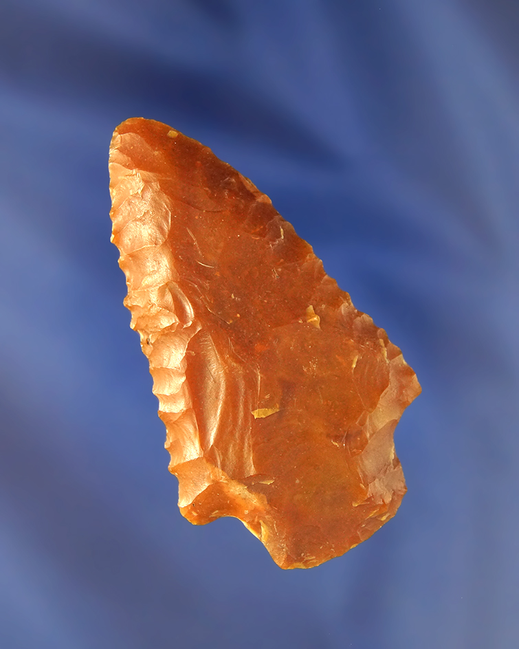 2 1/2" Kirk Serrated made from beautiful Coastal Plains Chert found in Florida,  Jackson COA.