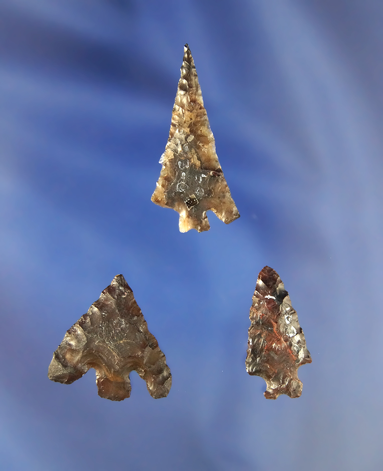 Set of three Columbia River   Arrowheads, largest is 1 3/8" found near Priest Rapids.