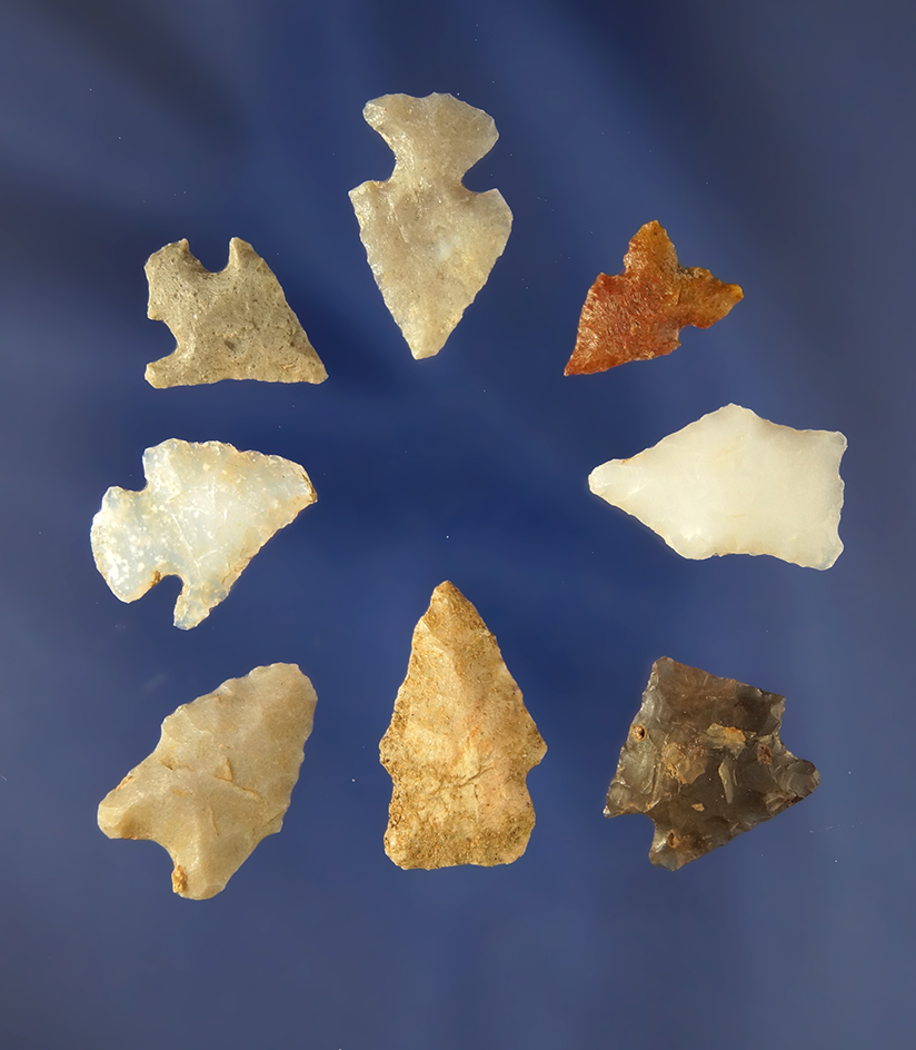 Group of eight assorted Bird Points found in Sweetwater County Wyoming, largest is 7/8".