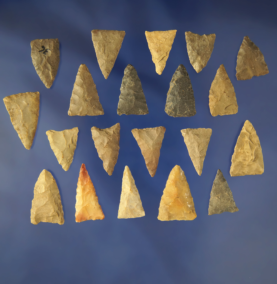 Group of 20 Triangle   Arrowheads found in Greenup Co., Kentucky- Judge Claxton Collection.