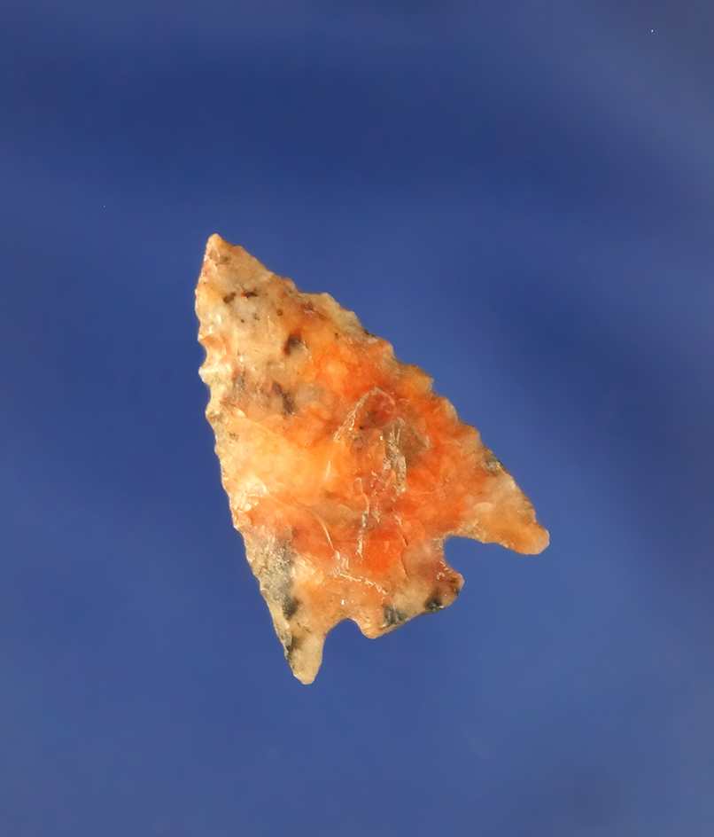 Exceptional color on this 7/8" Columbia Plateau found near the Columbia River