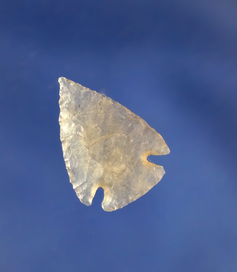 13/16" highly translucent and paper thin chalcedony Shadid  - Weld County CO. Perino COA.