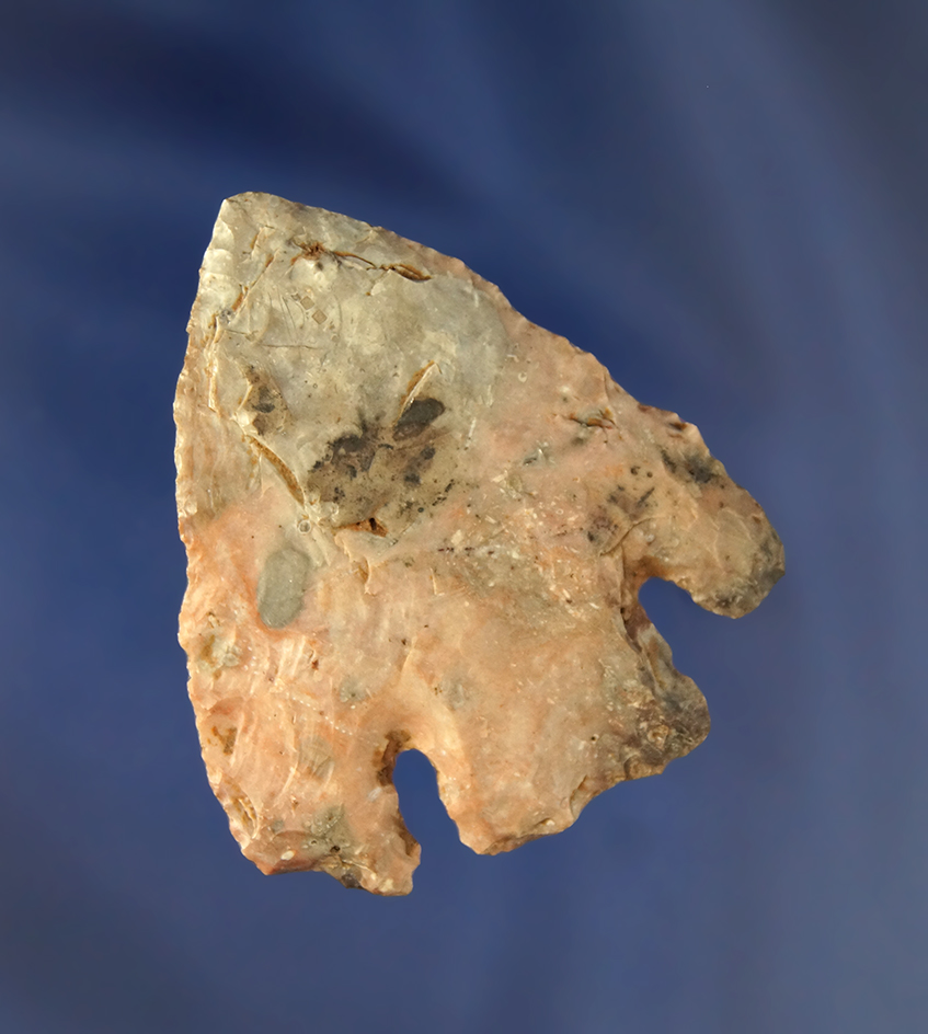 2" Calf Creek made from heat treated Burlington chert found in Missouri.