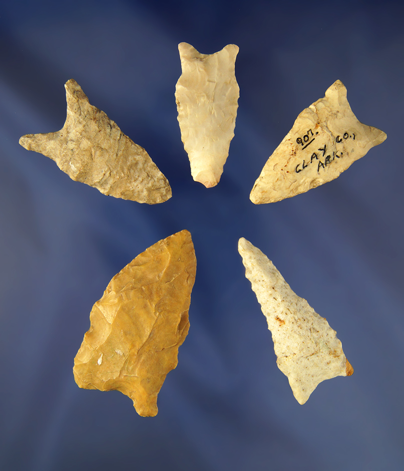 Group of 5 Daltons found in Greene and Clay Co., Arkansas. Largest is 2 1/8".