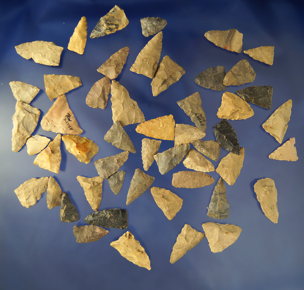 Group of 50 Triangle   Arrowheads found in Greenup Co., Kentucky - Judge Claxton Collection.