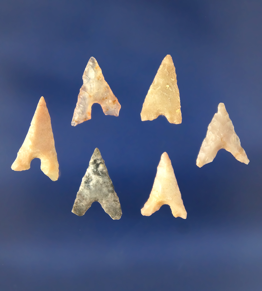 Set of 6 Garza Points found in Texas.  Largest is 3/4".