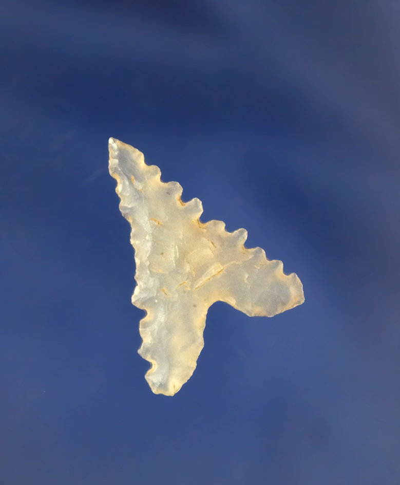 Nice!  Garza point with excellent serrations found in Texas. highly translucent chalcedony.