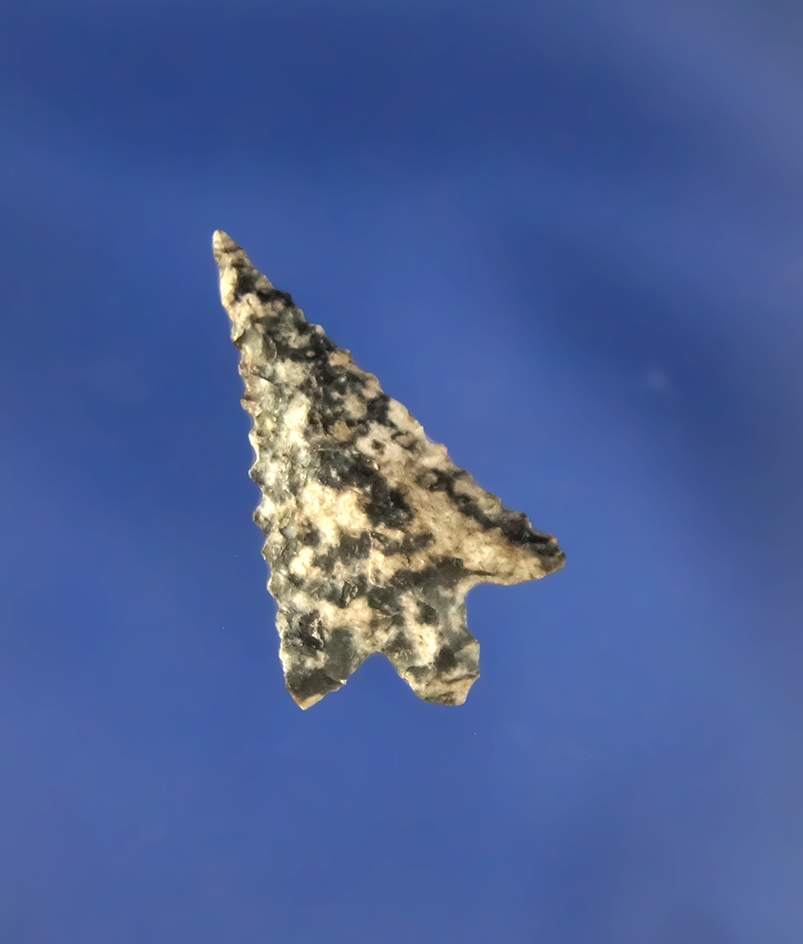 7/8" highly patinated Columbia Plateau with nice serrations found in Whitman County WA