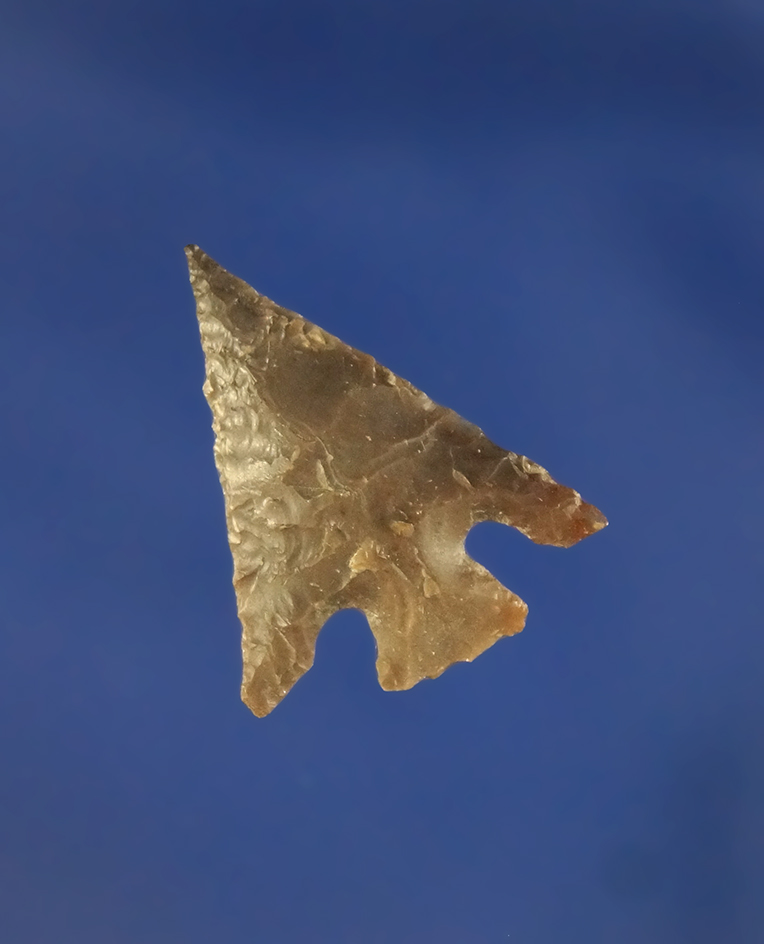 7/8" Columbia Plateau  found near the Columbia River, Washington.